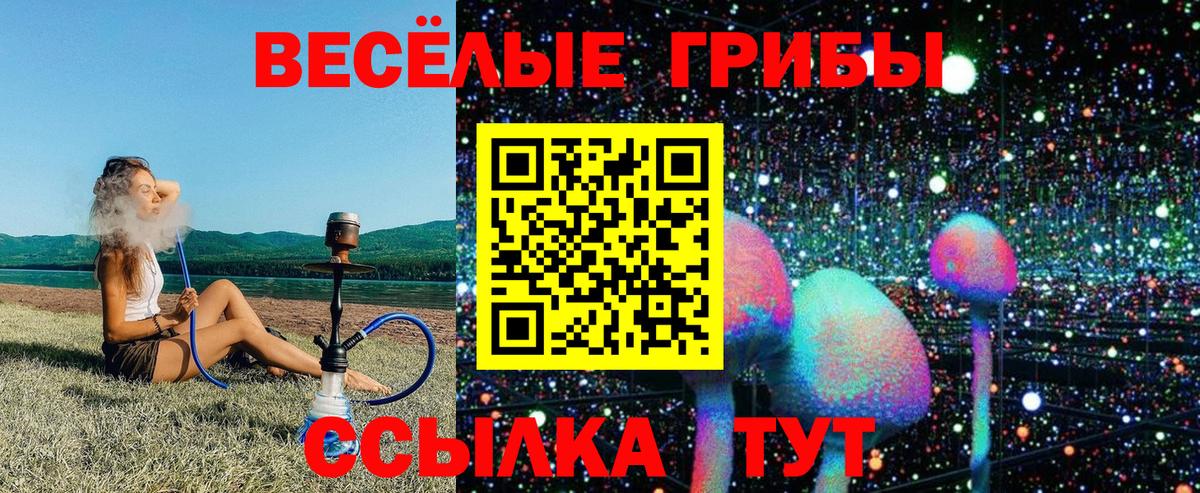 Галлюциногенные грибы Cubensis Керчь